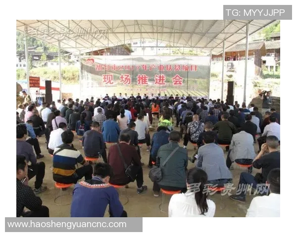 西安羽毛球队逆袭之路的背后故事与奋斗精神揭秘